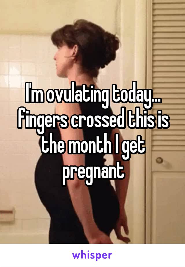 I'm ovulating today... fingers crossed this is the month I get pregnant