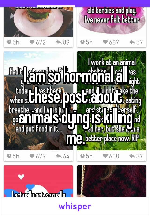 I am so hormonal all these post about animals dying is killing me.