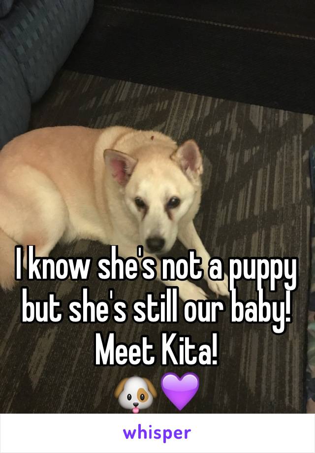 I know she's not a puppy but she's still our baby! 
Meet Kita! 
🐶💜