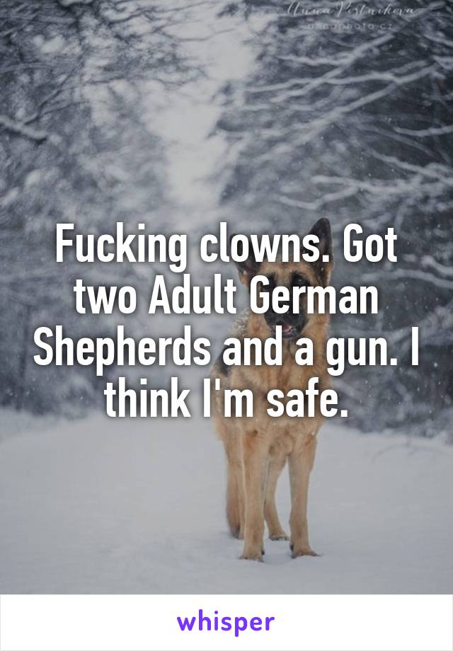 Fucking clowns. Got two Adult German Shepherds and a gun. I think I'm safe.