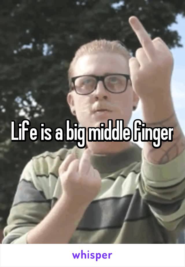 Life is a big middle finger