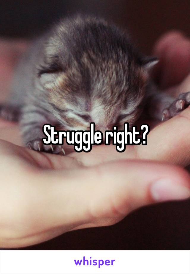 Struggle right?
