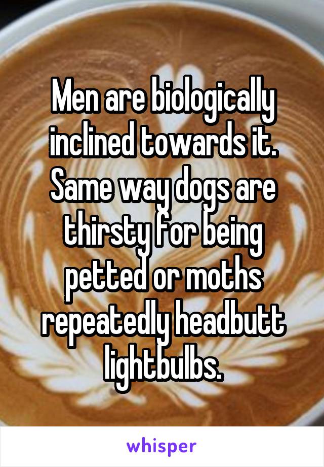 Men are biologically inclined towards it. Same way dogs are thirsty for being petted or moths repeatedly headbutt lightbulbs.