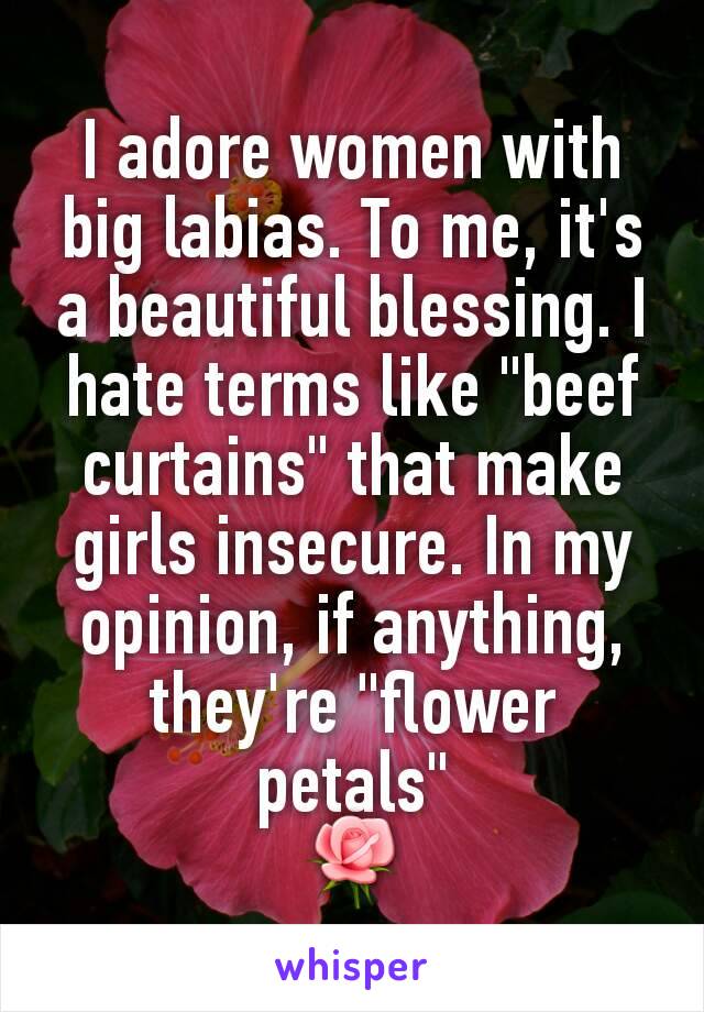 I adore women with big labias. To me, it's a beautiful blessing. I hate terms like "beef curtains" that make girls insecure. In my opinion, if anything, they're "flower petals"
🌹