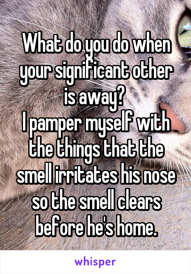 What do you do when your significant other is away? 
I pamper myself with the things that the smell irritates his nose so the smell clears before he's home.