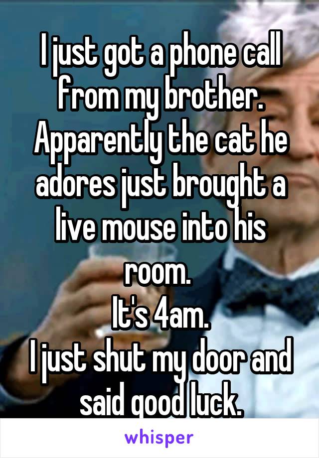 I just got a phone call from my brother. Apparently the cat he adores just brought a live mouse into his room. 
It's 4am.
I just shut my door and said good luck.