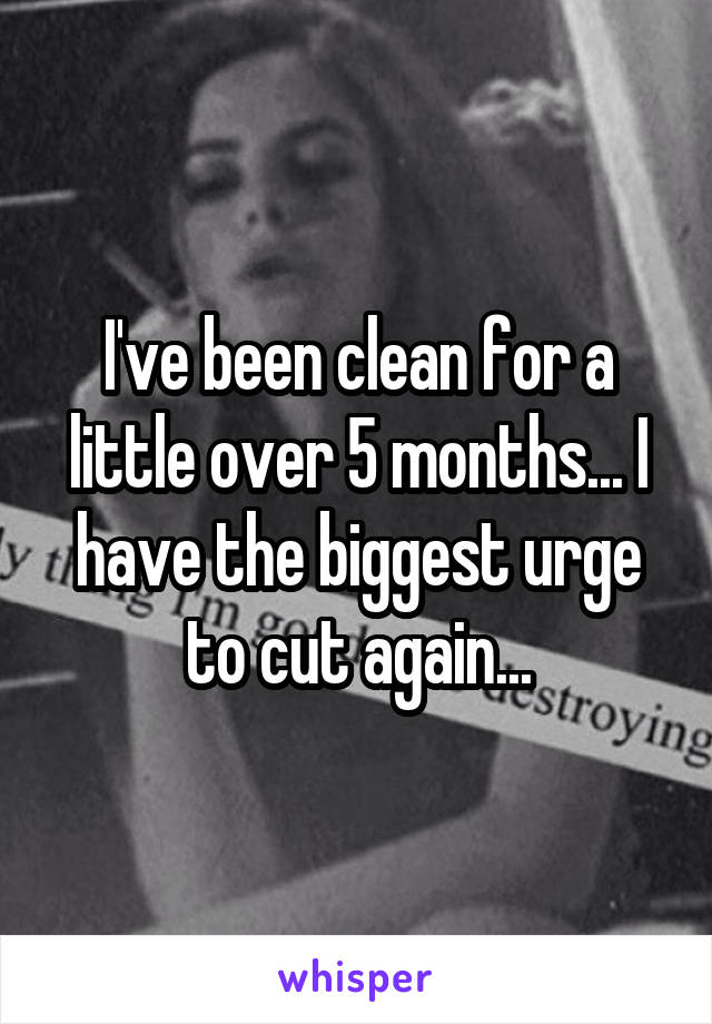 I've been clean for a little over 5 months... I have the biggest urge to cut again...