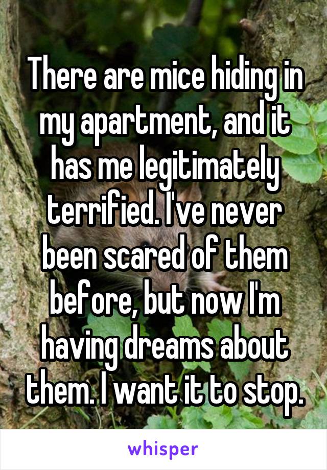 There are mice hiding in my apartment, and it has me legitimately terrified. I've never been scared of them before, but now I'm having dreams about them. I want it to stop.