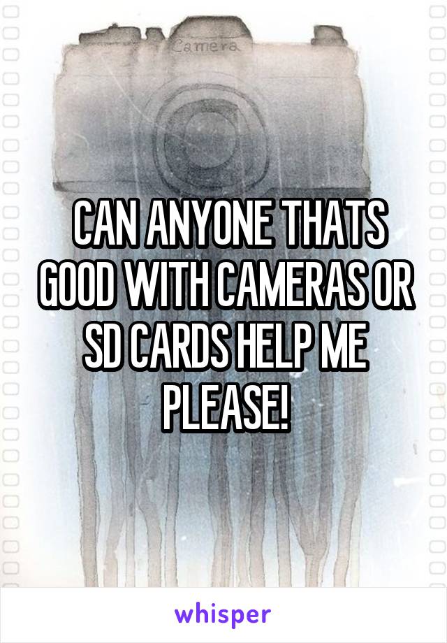  CAN ANYONE THATS GOOD WITH CAMERAS OR SD CARDS HELP ME PLEASE!