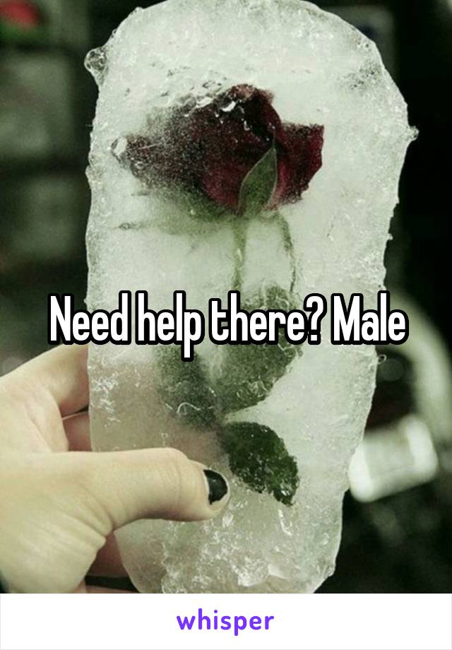 Need help there? Male