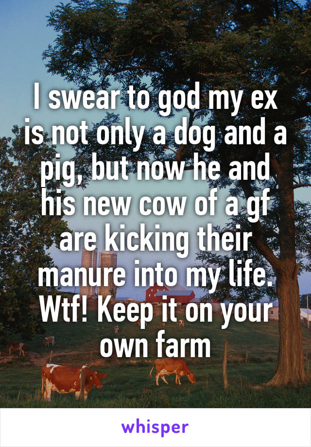 I swear to god my ex is not only a dog and a pig, but now he and his new cow of a gf are kicking their manure into my life. Wtf! Keep it on your own farm