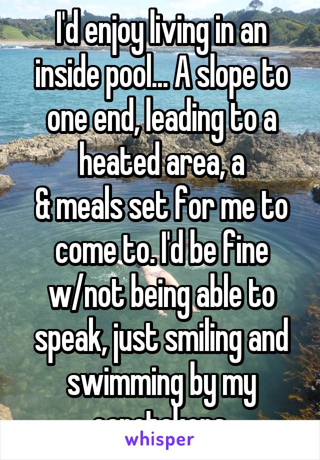 I'd enjoy living in an inside pool... A slope to one end, leading to a heated area, a
& meals set for me to come to. I'd be fine w/not being able to speak, just smiling and swimming by my caretakers.