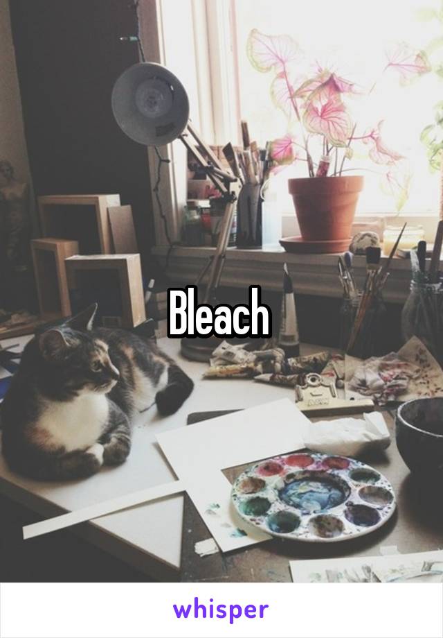 Bleach 