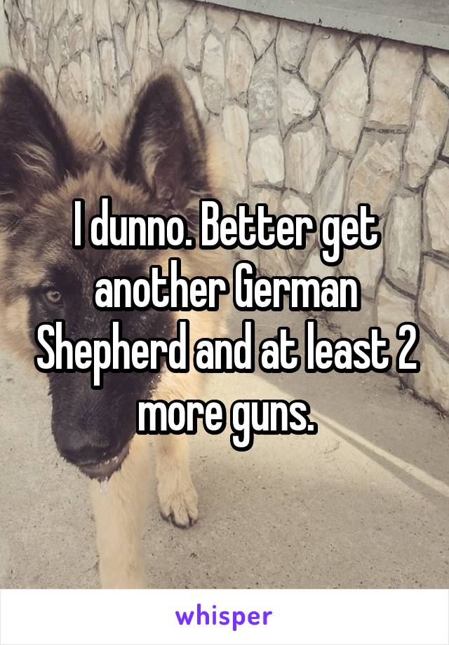 I dunno. Better get another German Shepherd and at least 2 more guns.