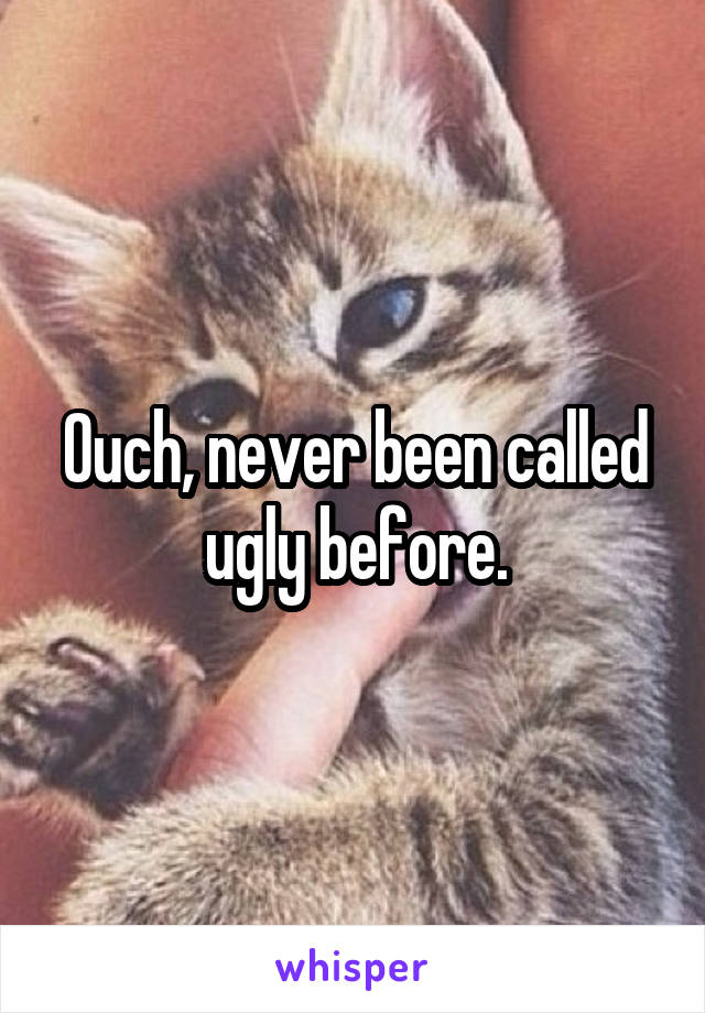 Ouch, never been called ugly before.