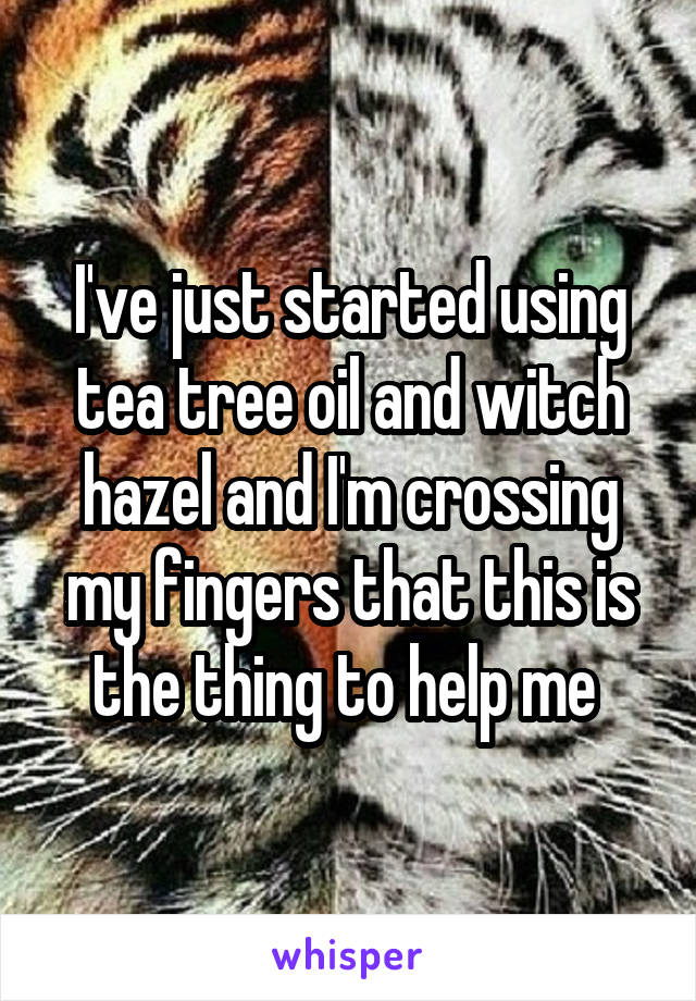 I've just started using tea tree oil and witch hazel and I'm crossing my fingers that this is the thing to help me 