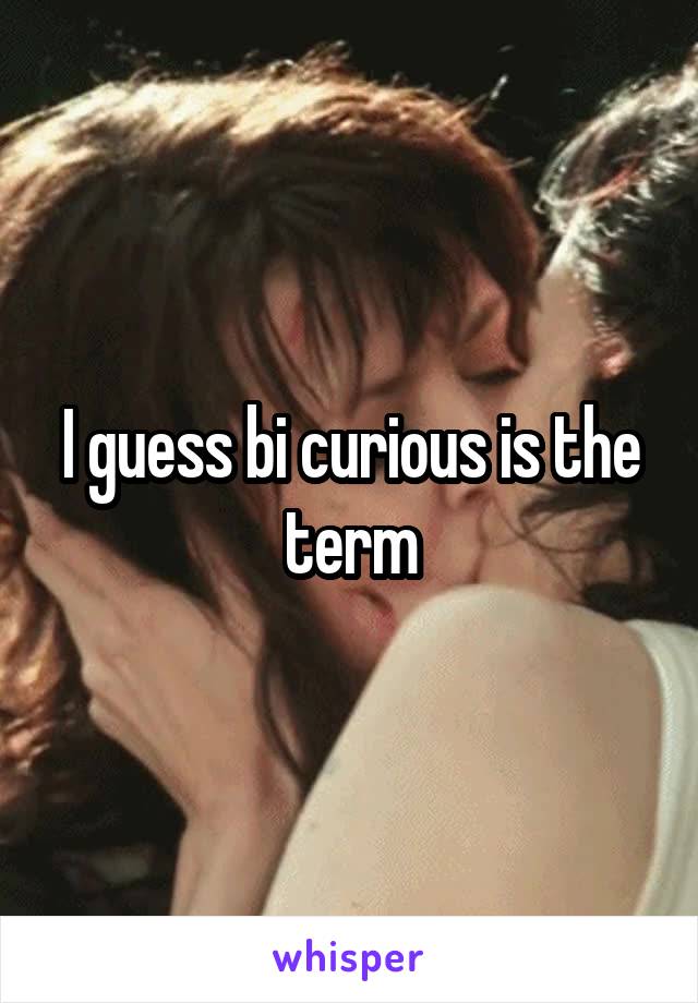 I guess bi curious is the term