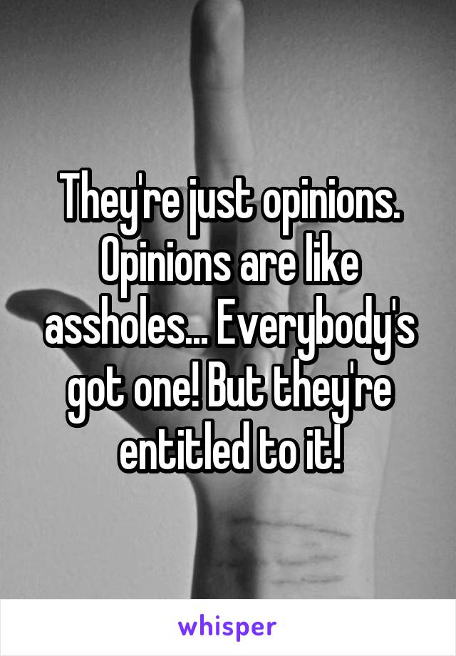 They're just opinions. Opinions are like assholes... Everybody's got one! But they're entitled to it!