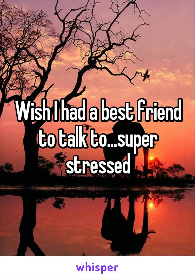 Wish I had a best friend to talk to...super stressed
