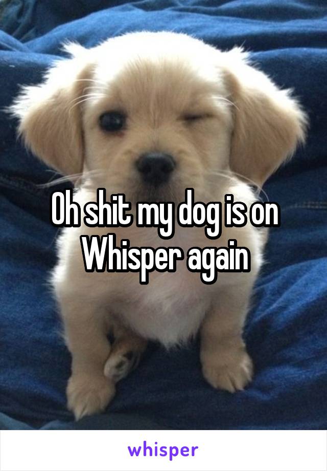 Oh shit my dog is on Whisper again