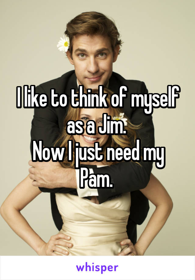 I like to think of myself as a Jim. 
Now I just need my Pam. 