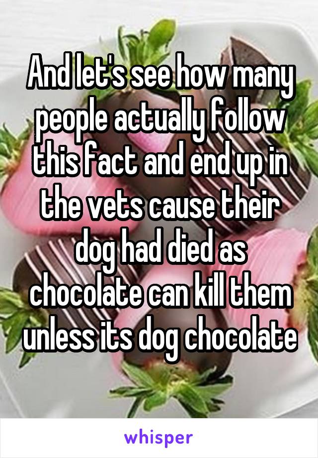 And let's see how many people actually follow this fact and end up in the vets cause their dog had died as chocolate can kill them unless its dog chocolate 