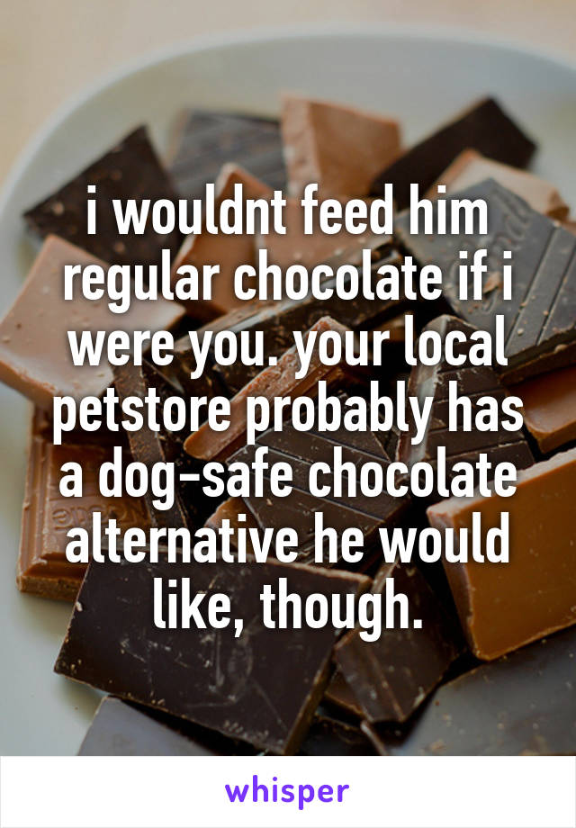 i wouldnt feed him regular chocolate if i were you. your local petstore probably has a dog-safe chocolate alternative he would like, though.