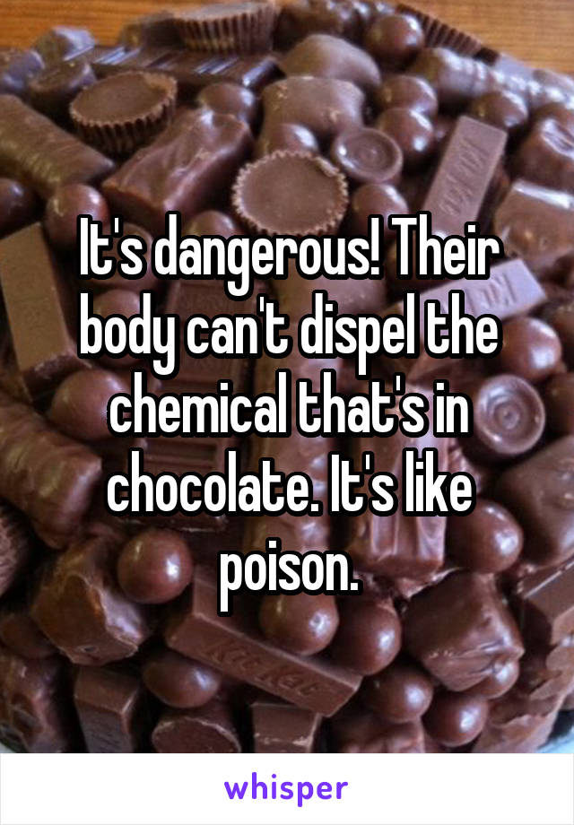 It's dangerous! Their body can't dispel the chemical that's in chocolate. It's like poison.