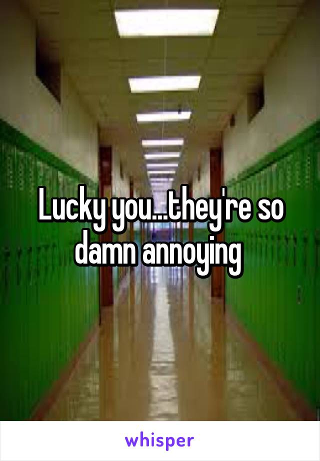 Lucky you...they're so damn annoying 