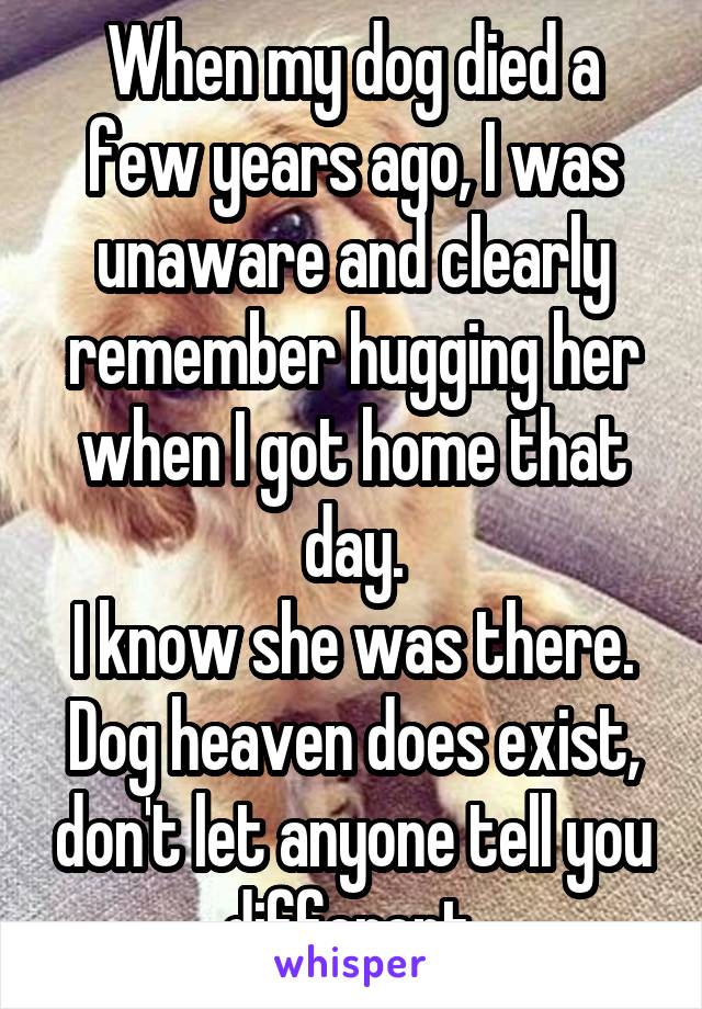 When my dog died a few years ago, I was unaware and clearly remember hugging her when I got home that day.
I know she was there. Dog heaven does exist, don't let anyone tell you different.