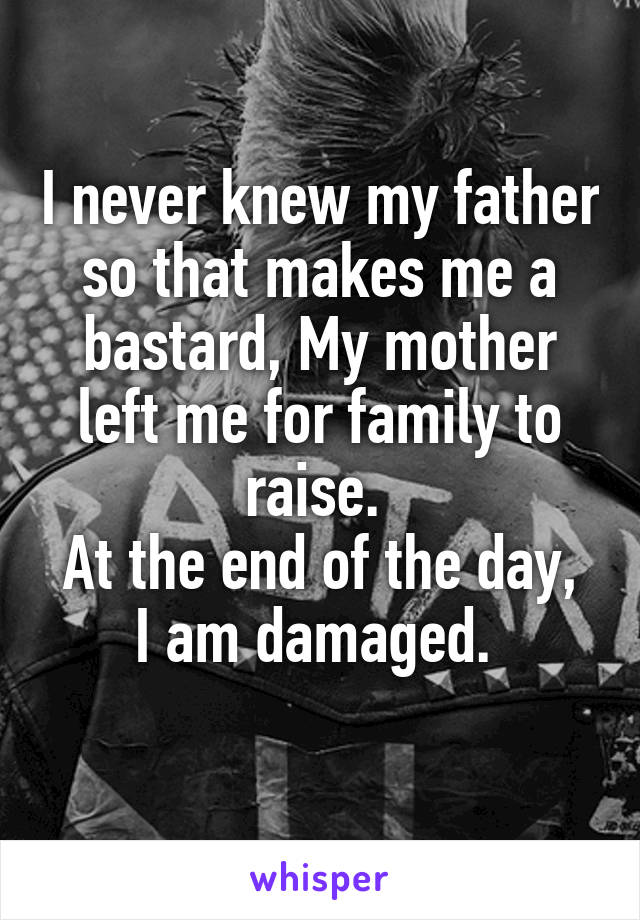 I never knew my father so that makes me a bastard, My mother left me for family to raise. 
At the end of the day, I am damaged. 
