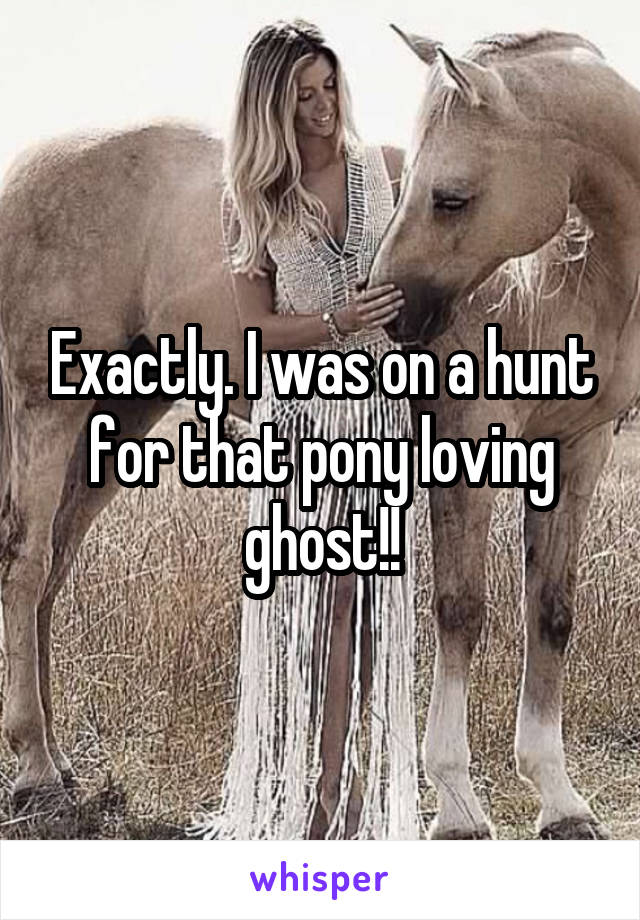 Exactly. I was on a hunt for that pony loving ghost!!