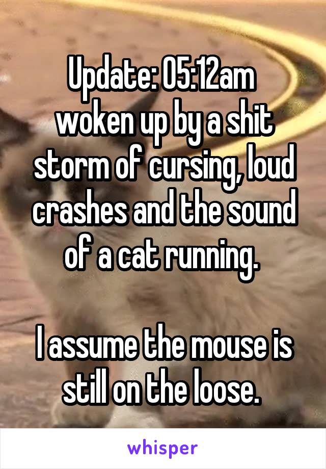 Update: 05:12am 
woken up by a shit storm of cursing, loud crashes and the sound of a cat running. 

I assume the mouse is still on the loose. 