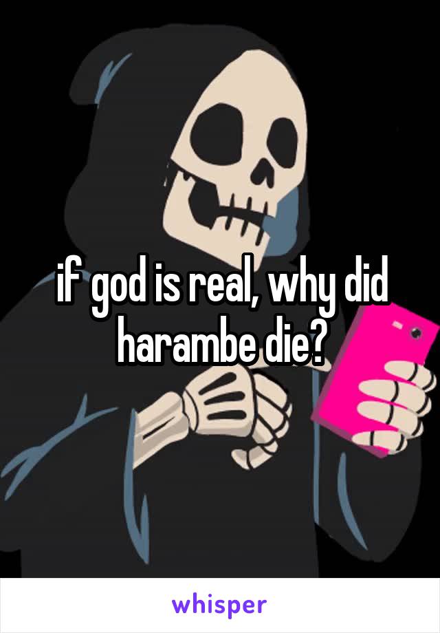 if god is real, why did harambe die?