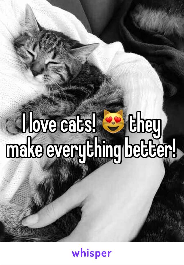 I love cats! 😻 they make everything better! 