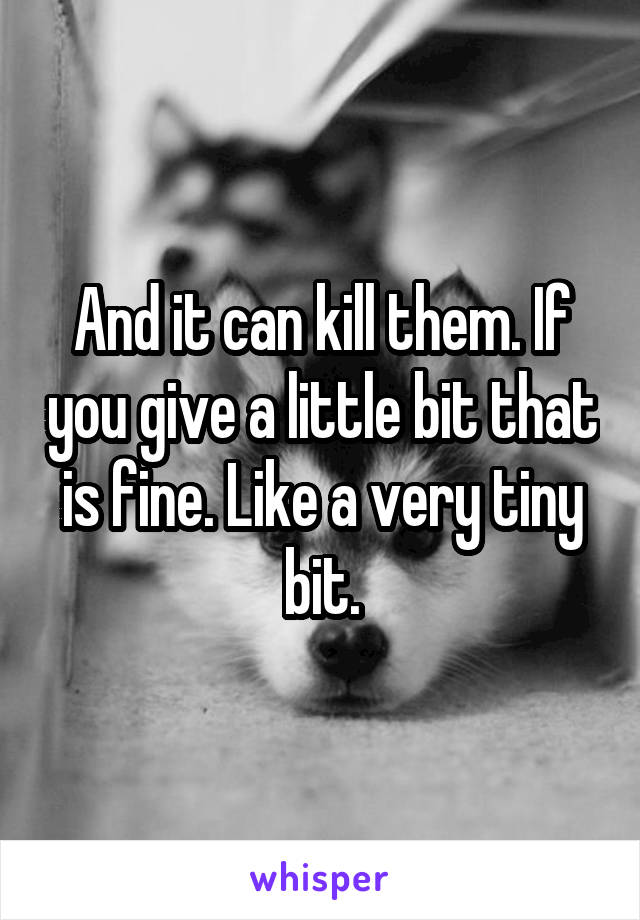 And it can kill them. If you give a little bit that is fine. Like a very tiny bit.