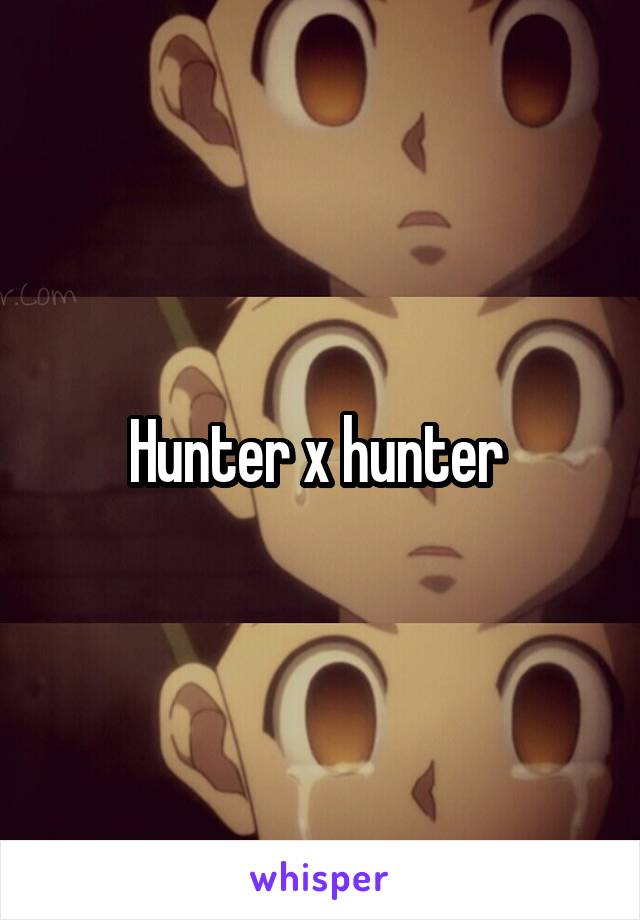 Hunter x hunter 