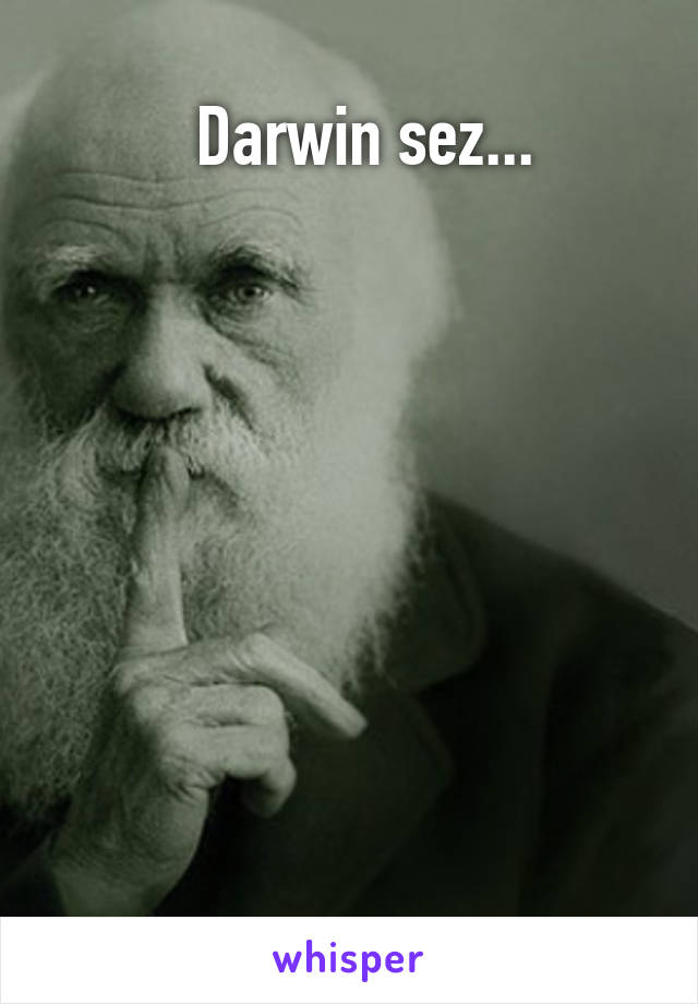   Darwin sez...








