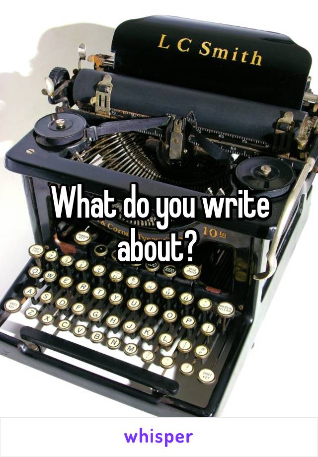 What do you write about? 