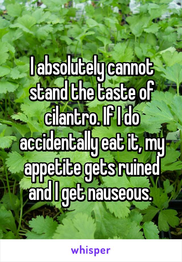I absolutely cannot stand the taste of cilantro. If I do accidentally eat it, my appetite gets ruined and I get nauseous. 