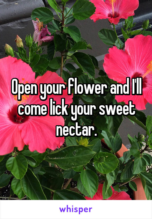 Open your flower and I'll come lick your sweet nectar.