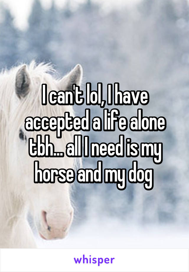 I can't lol, I have accepted a life alone tbh... all I need is my horse and my dog 