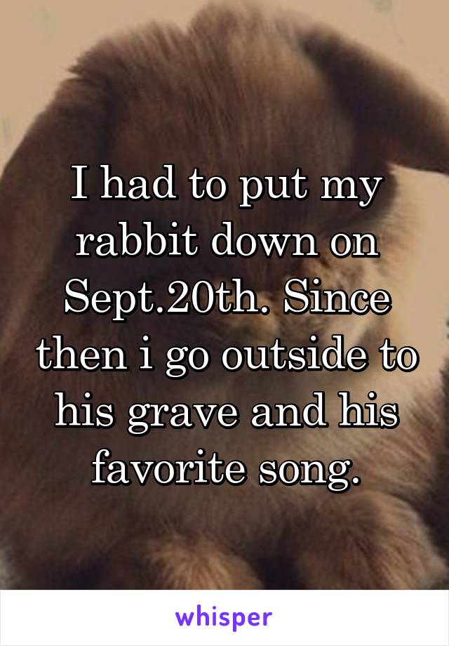 I had to put my rabbit down on Sept.20th. Since then i go outside to his grave and his favorite song.