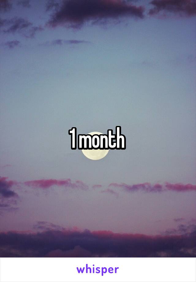 1 month 
