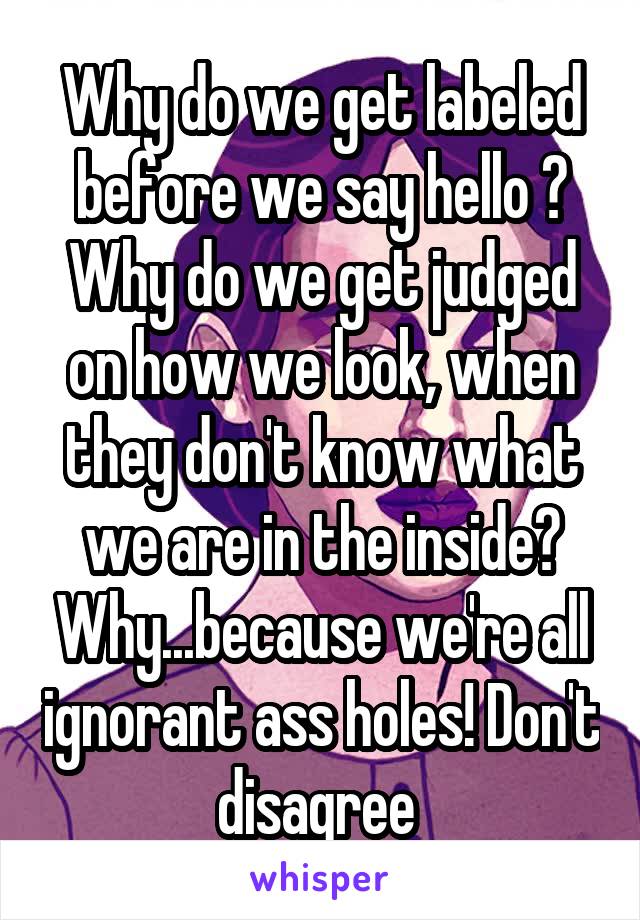 Why do we get labeled before we say hello ? Why do we get judged on how we look, when they don't know what we are in the inside? Why...because we're all ignorant ass holes! Don't disagree 