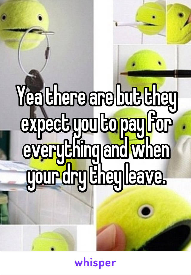 Yea there are but they expect you to pay for everything and when your dry they leave.