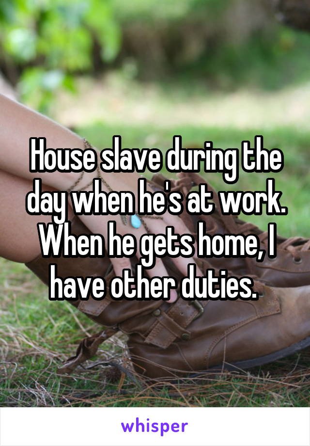House slave during the day when he's at work. When he gets home, I have other duties. 
