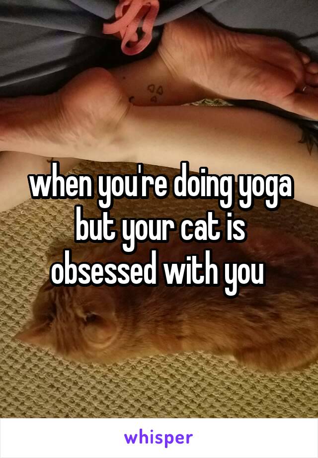 when you're doing yoga but your cat is obsessed with you 
