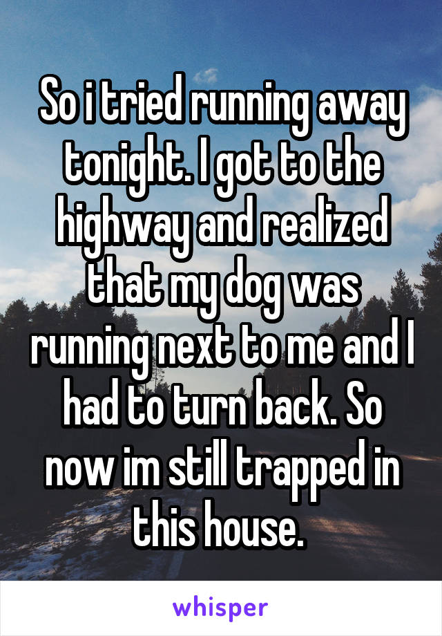 So i tried running away tonight. I got to the highway and realized that my dog was running next to me and I had to turn back. So now im still trapped in this house. 