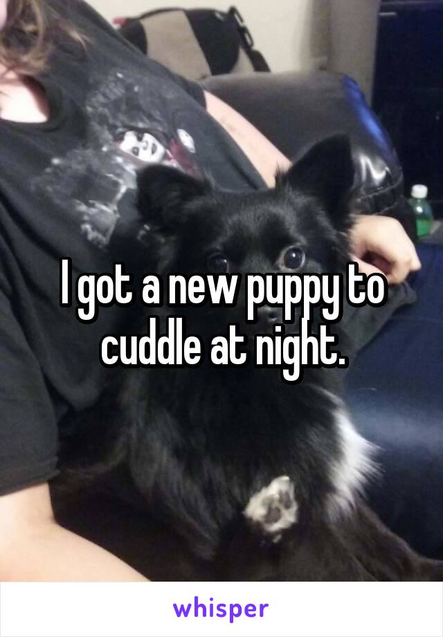 I got a new puppy to cuddle at night.